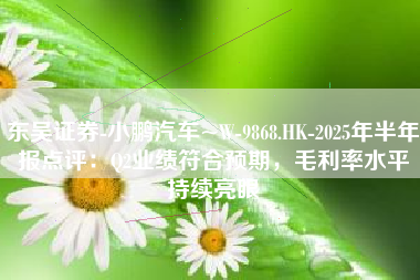 东吴证券-小鹏汽车~W-9868.HK-2025年半年报点评：Q2业绩符合预期，毛利率水平持续亮眼