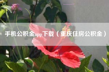 手机公积金app下载（重庆住房公积金）