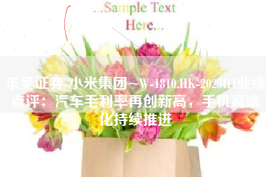 东吴证券-小米集团~W-1810.HK-2025H1业绩点评：汽车毛利率再创新高，手机高端化持续推进