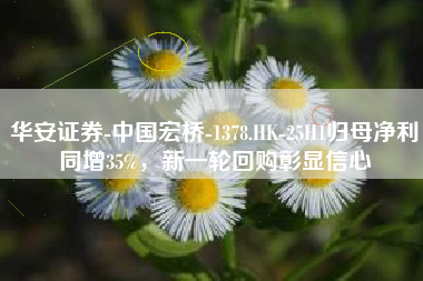 华安证券-中国宏桥-1378.HK-25H1归母净利同增35%，新一轮回购彰显信心