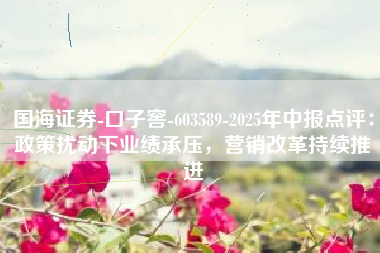 国海证券-口子窖-603589-2025年中报点评：政策扰动下业绩承压，营销改革持续推进