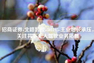招商证券-北路智控-301195-主业增长承压，关注井下无人驾驶业务拓展