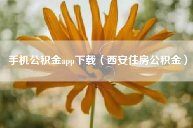 手机公积金app下载（西安住房公积金）