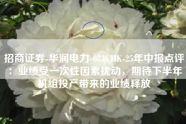 招商证券-华润电力-0836.HK-25年中报点评：业绩受一次性因素扰动，期待下半年机组投产带来的业绩释放