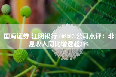 国海证券-江阴银行-002807-公司点评：非息收入同比增速超30%