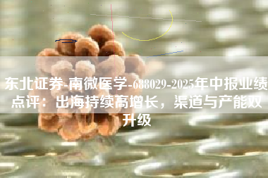 东北证券-南微医学-688029-2025年中报业绩点评：出海持续高增长，渠道与产能双升级