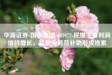 华源证券-国泰集团-603977-民爆主业利润维持增长，其他业务及补助形成拖累