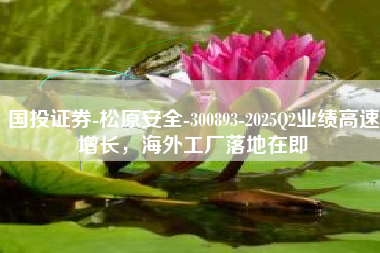 国投证券-松原安全-300893-2025Q2业绩高速增长，海外工厂落地在即