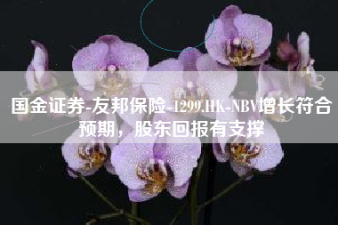 国金证券-友邦保险-1299.HK-NBV增长符合预期，股东回报有支撑