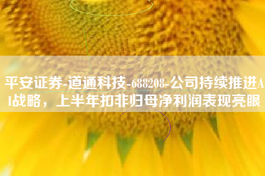 平安证券-道通科技-688208-公司持续推进AI战略，上半年扣非归母净利润表现亮眼