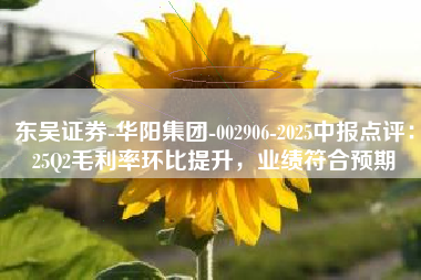 东吴证券-华阳集团-002906-2025中报点评：25Q2毛利率环比提升，业绩符合预期
