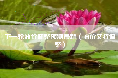 下一轮油价调整预测最新（油价又将调整）