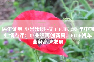 民生证券-小米集团~W-1810.HK-2025年中期业绩点评：Q2业绩再创新高，IOT+汽车业务高速发展