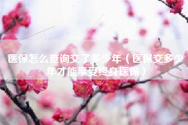 医保怎么查询交了多少年（医保交多少年才能享受终身医保）