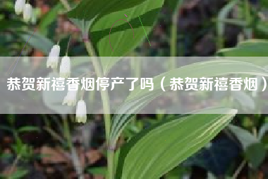 恭贺新禧香烟停产了吗（恭贺新禧香烟）