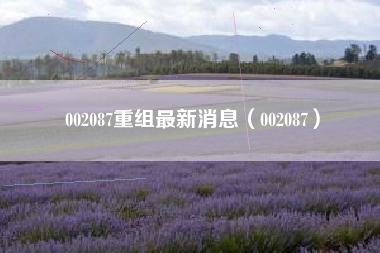 002087重组最新消息（002087）