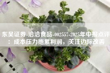 东吴证券-洽洽食品-002557-2025年中报点评：成本压力拖累利润，关注边际改善