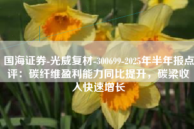 国海证券-光威复材-300699-2025年半年报点评：碳纤维盈利能力同比提升，碳梁收入快速增长