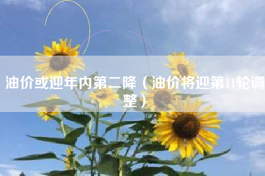 油价或迎年内第二降（油价将迎第11轮调整）