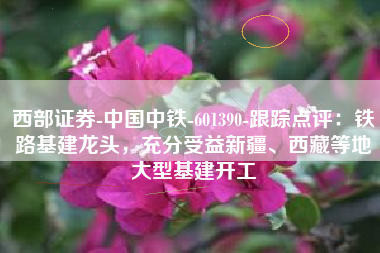 西部证券-中国中铁-601390-跟踪点评：铁路基建龙头，充分受益新疆、西藏等地大型基建开工