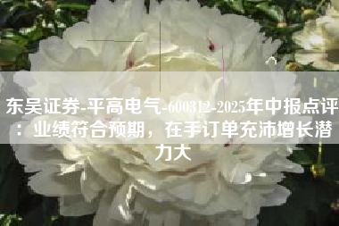东吴证券-平高电气-600312-2025年中报点评：业绩符合预期，在手订单充沛增长潜力大