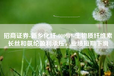 招商证券-新乡化纤-000949-生物质纤维素长丝和氨纶盈利承压，业绩短期下滑