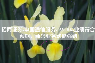 招商证券-中国通信服务-0552.HK-业绩符合预期，新兴业务动能强劲