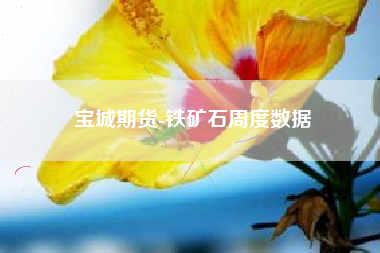 宝城期货-铁矿石周度数据