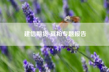 建信期货-豆粕专题报告