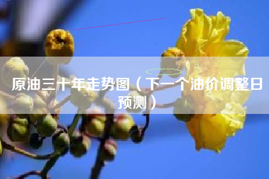 原油三十年走势图（下一个油价调整日预测）