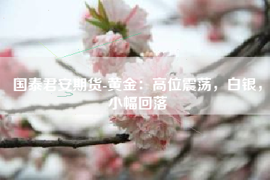 国泰君安期货-黄金：高位震荡，白银，小幅回落