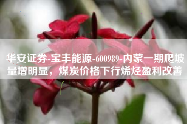 华安证券-宝丰能源-600989-内蒙一期爬坡量增明显，煤炭价格下行烯烃盈利改善
