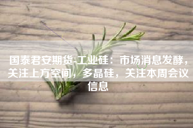 国泰君安期货-工业硅：市场消息发酵，关注上方空间，多晶硅，关注本周会议信息