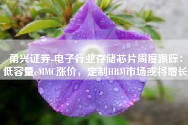 甬兴证券-电子行业存储芯片周度跟踪：低容量eMMC涨价，定制HBM市场或将增长