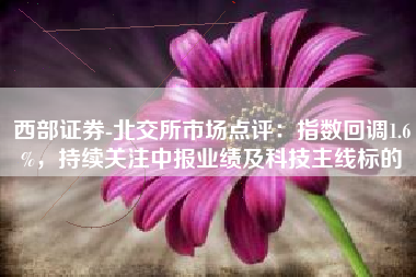 西部证券-北交所市场点评：指数回调1.6%，持续关注中报业绩及科技主线标的