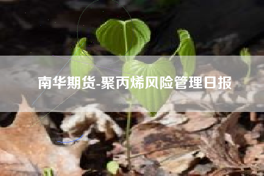 南华期货-聚丙烯风险管理日报