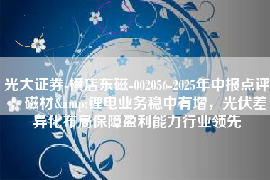 光大证券-横店东磁-002056-2025年中报点评：磁材&锂电业务稳中有增，光伏差异化布局保障盈利能力行业领先