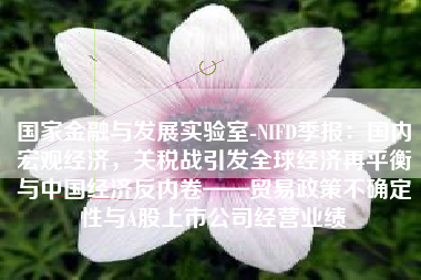 国家金融与发展实验室-NIFD季报：国内宏观经济，关税战引发全球经济再平衡与中国经济反内卷——贸易政策不确定性与A股上市公司经营业绩