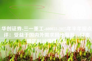 华创证券-三一重工-600031-2025年半年报点评：受益于国内外需求同步复苏，降本增效利润弹性显现
