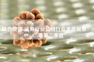 联合资信-证券行业公司行业季度观察：2025年第二季度