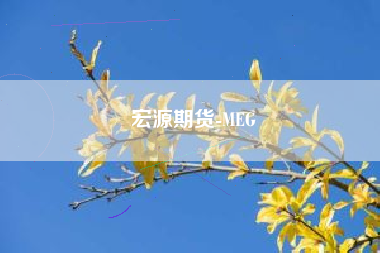 宏源期货-MEG