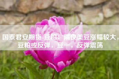 国泰君安期货-豆粕：隔夜美豆涨幅较大，豆粕或反弹，豆一，反弹震荡