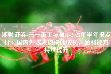 湘财证券-三一重工-600031-2025年半年报点评：国内外收入均快速增长，盈利能力持续提升