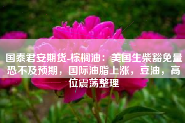 国泰君安期货-棕榈油：美国生柴豁免量恐不及预期，国际油脂上涨，豆油，高位震荡整理