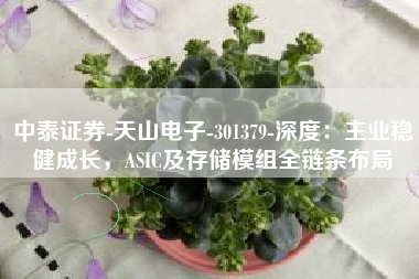 中泰证券-天山电子-301379-深度：主业稳健成长，ASIC及存储模组全链条布局