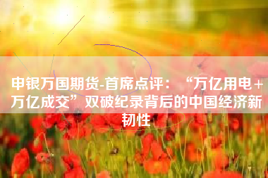 申银万国期货-首席点评：“万亿用电+万亿成交”双破纪录背后的中国经济新韧性