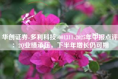 华创证券-多利科技-001311-2025年中报点评：2Q业绩承压，下半年增长仍可期