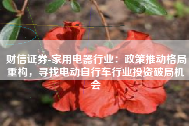 财信证券-家用电器行业：政策推动格局重构，寻找电动自行车行业投资破局机会