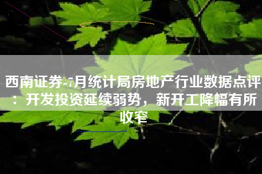 西南证券-7月统计局房地产行业数据点评：开发投资延续弱势，新开工降幅有所收窄