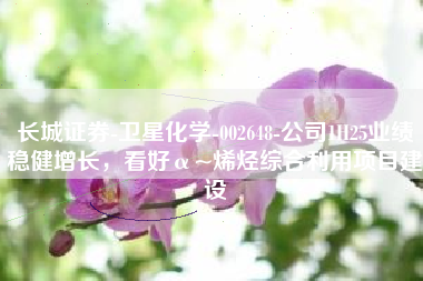长城证券-卫星化学-002648-公司1H25业绩稳健增长，看好α~烯烃综合利用项目建设